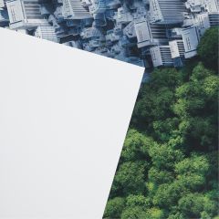 Green Composites